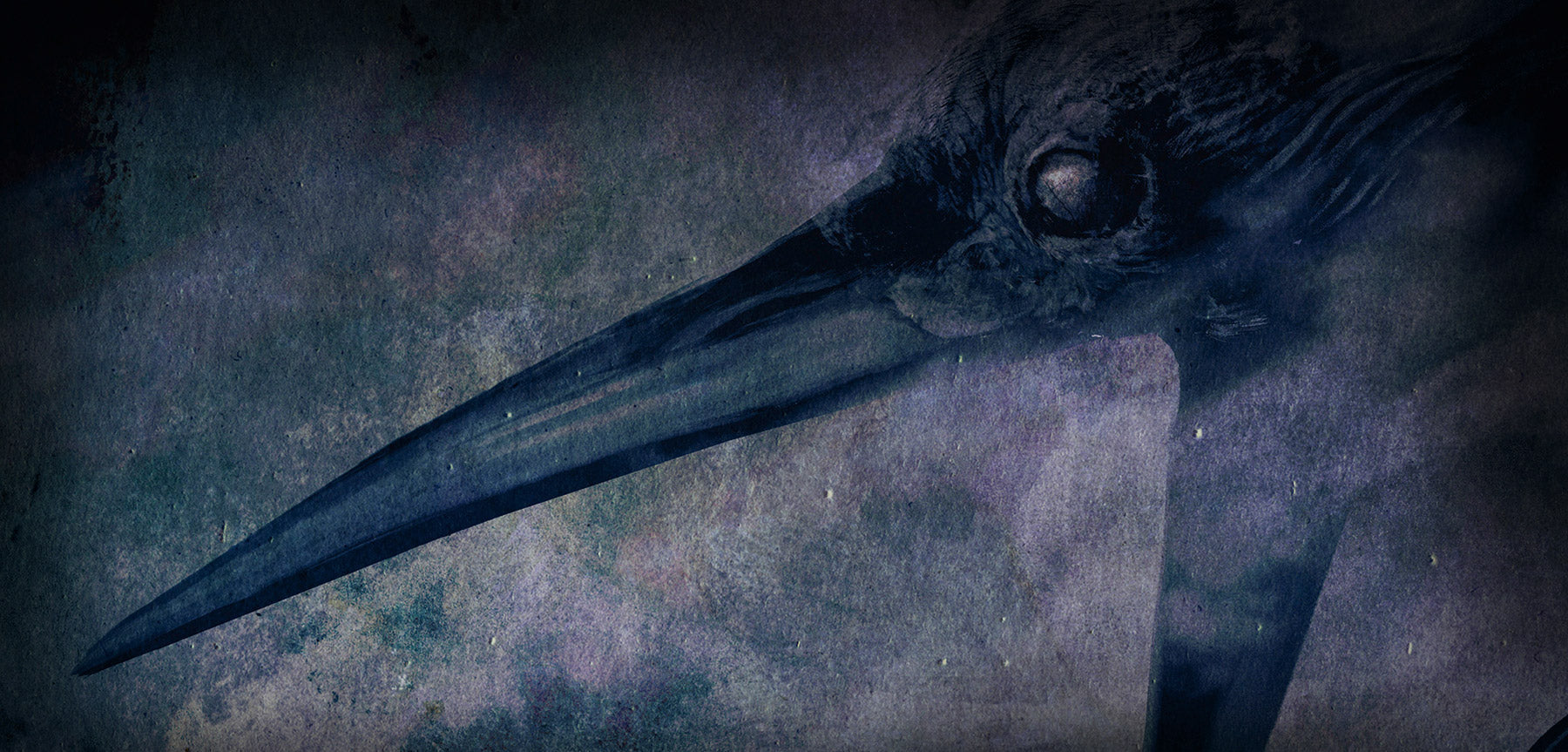 Insomnium