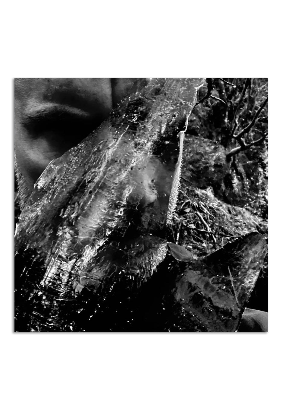 Taake - En Skog Av Nidstang - Digipak CD | Neutral-Image