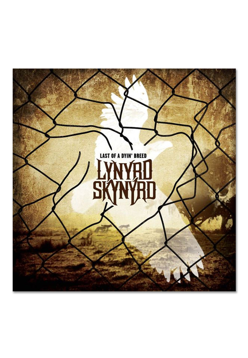 Lynyrd Skynyrd - Collected Ltd. Yellow - Colored 2 Vinyl | AFM Records